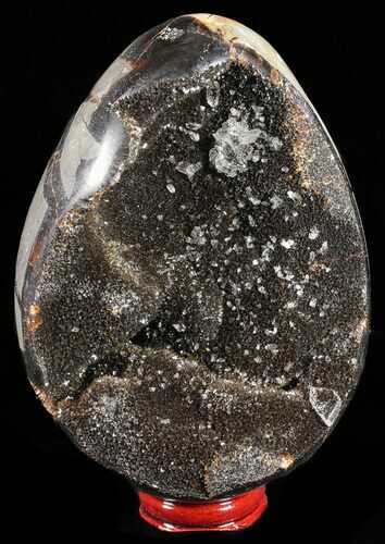 Septarian Dragon Egg Geode - Black Crystals #57398